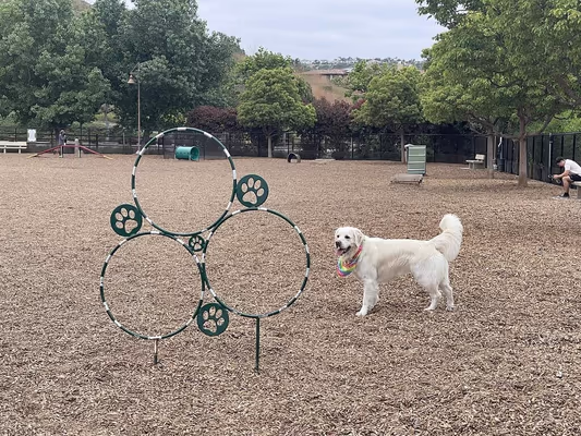 Dog Park at Alga Norte Community Park photo 2